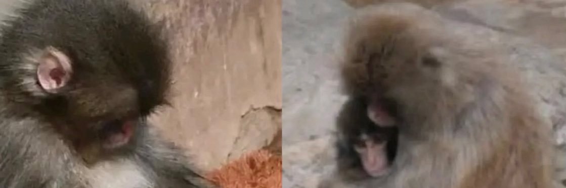 بابای پانچ banner