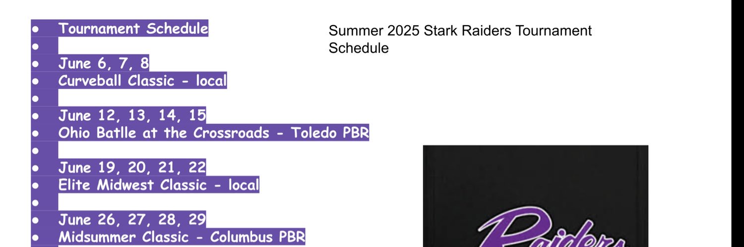 StarkRaiders2027’s banner