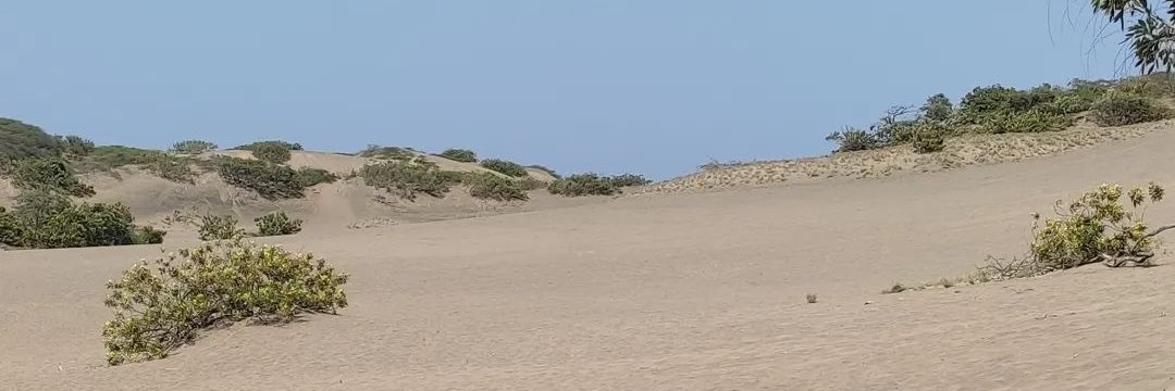 cibelislike's profile banner image