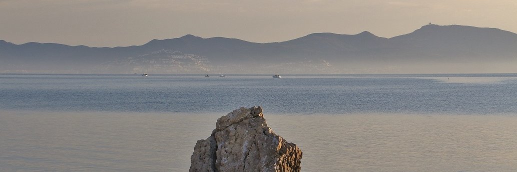 Elisabet Sans banner