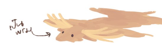 elafi banner
