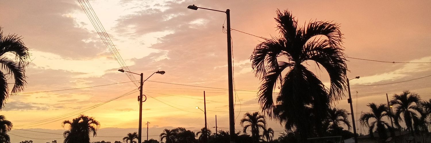 LosDel62346's profile banner image