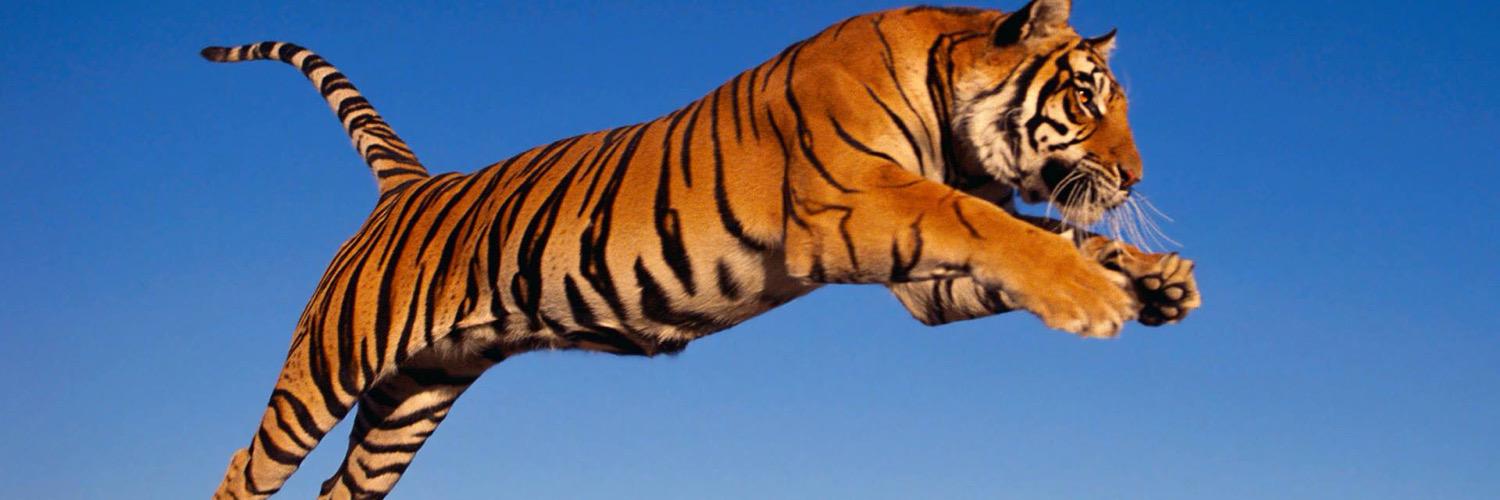 IamAnLoCol's profile banner image