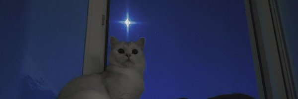 Macabr0_NSFW Profile Banner