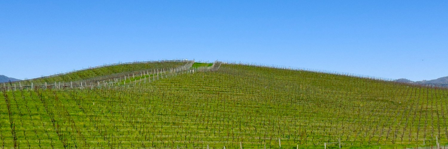 capacitor consumer banner