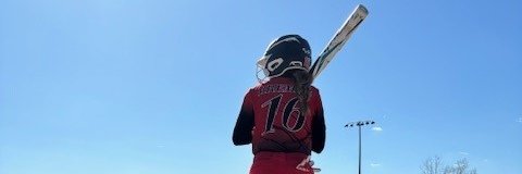Charlotte Bremer banner