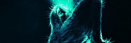 Neto1090's profile banner image