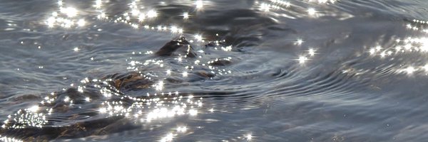 nichadanmek Profile Banner