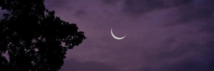 poniicuhh's profile banner image
