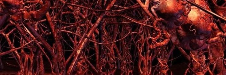 fermentedfl3sh's profile banner image