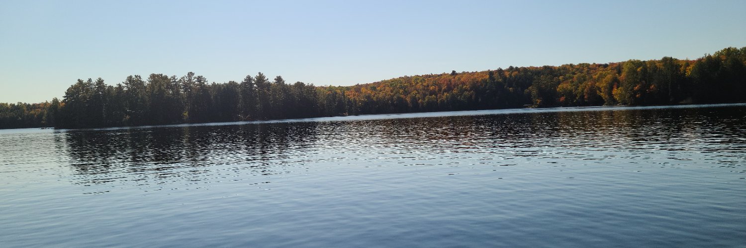 Frizelburger's profile banner image