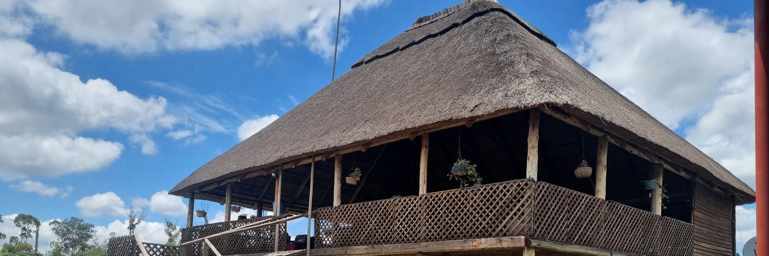 Zinduru's profile banner image