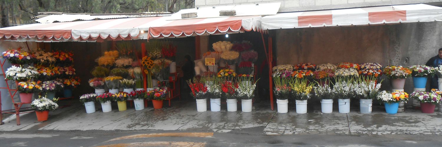 gerardo santos banner