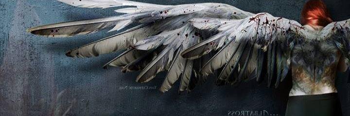 infinitoperpual's profile banner image