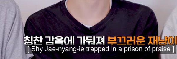 leejaeyoungs Profile Banner
