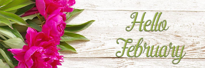 marc frasier banner