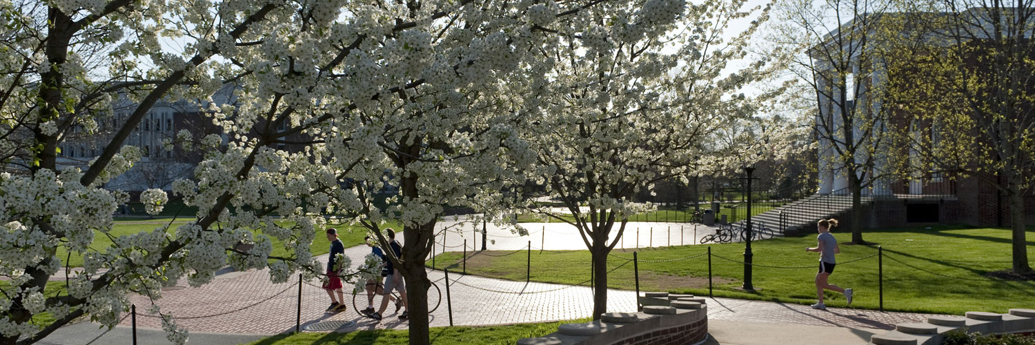 University of Delaware Alumni banner