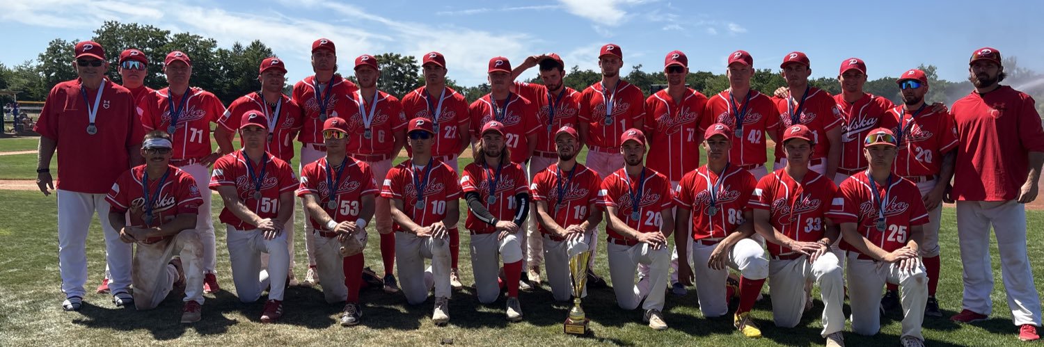 Polska National Baseball banner