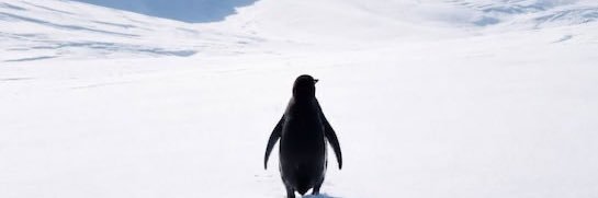 فانتاستك banner