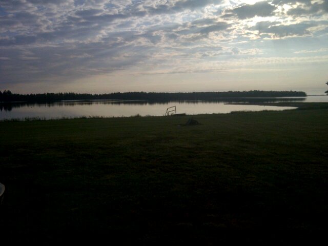 Connor Cameron banner