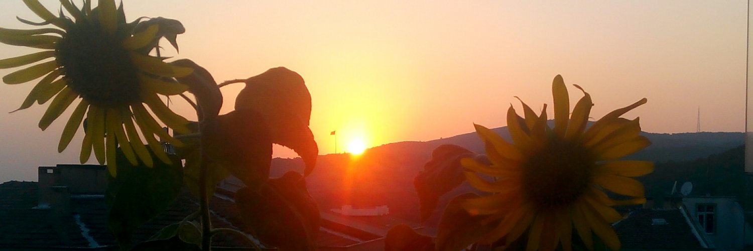 Lisanihalil's profile banner image