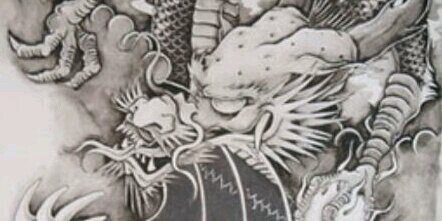 lil' dragon banner
