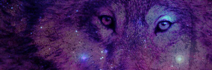 isuga93_bth's profile banner image