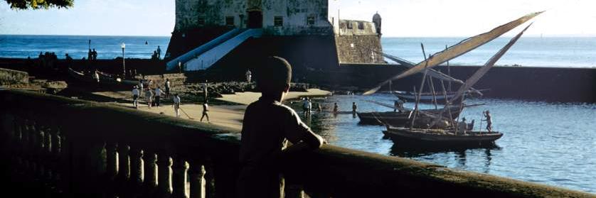 junio | 🧀 🪑 banner