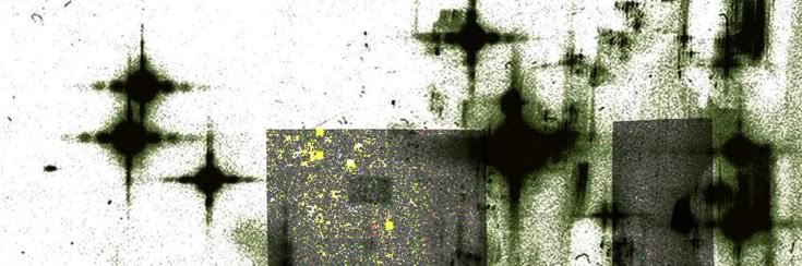 雨落's banner