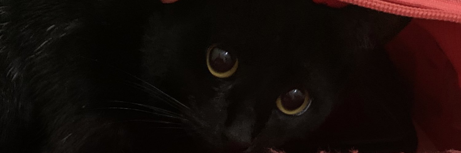 MaryahBorges's profile banner image