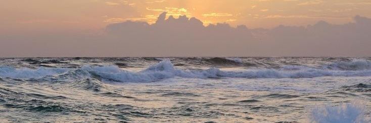 Orcahaya (comms open) banner