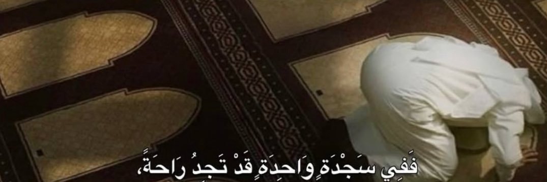 BdoorAli❤️ banner
