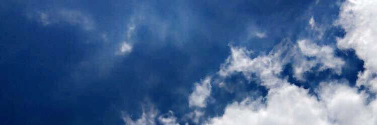 Hannah14444's profile banner image