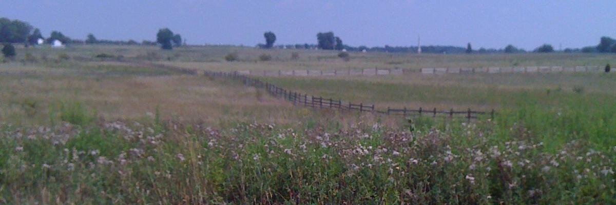 pjmcgov's profile banner image