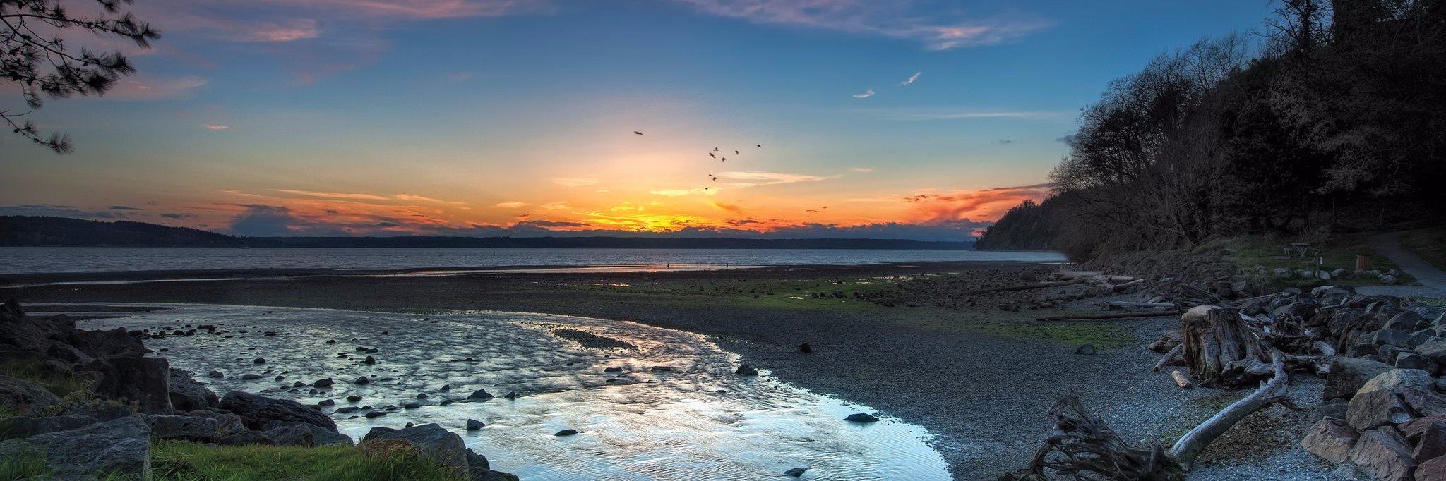 SeattleSouthsid's profile banner image