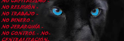 lenci6's profile banner image