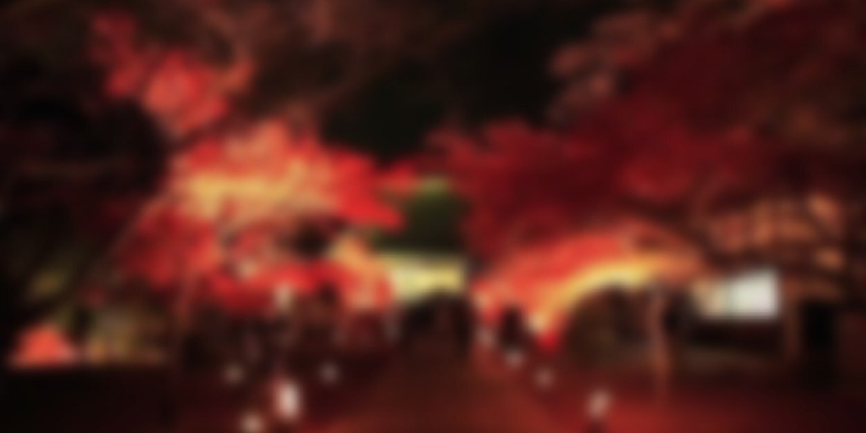 Fuma_____Beni's profile banner image