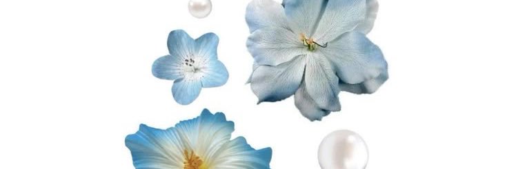 berrys banner