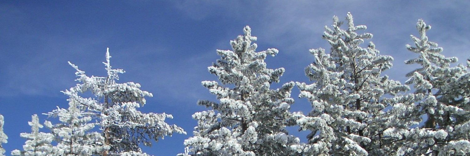 mistdaemon's profile banner image