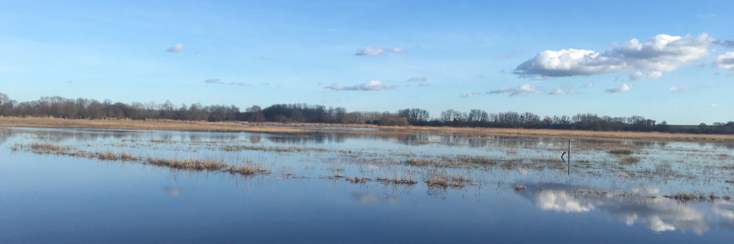 Jonathan MORICE banner