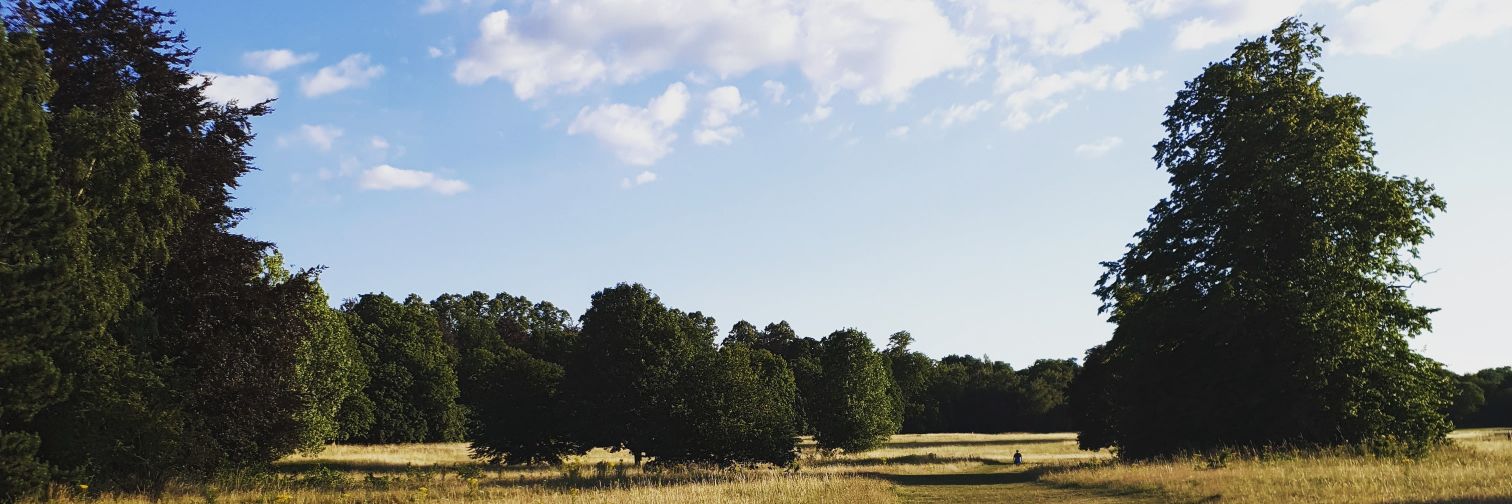 ona76's profile banner image