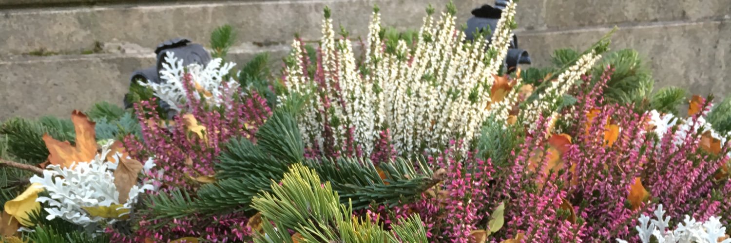 Helen Eduards banner