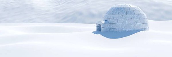 pingudinho Profile Banner