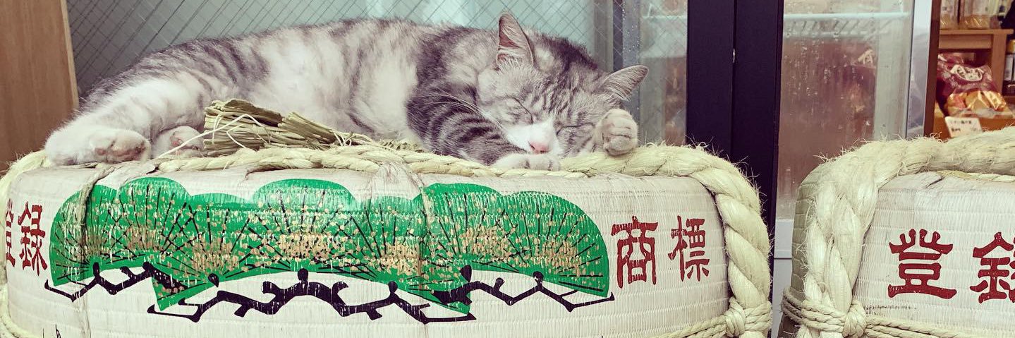 こめんと3 banner