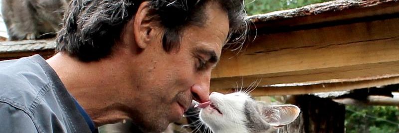 *Web3★Groot* banner