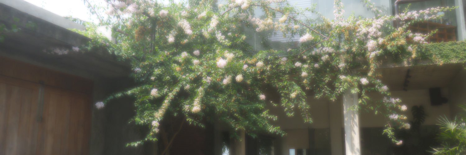 trejactorizz's profile banner image