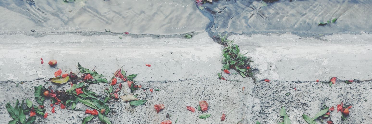 eslianity's profile banner image
