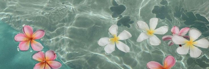 farida_xglow's profile banner image
