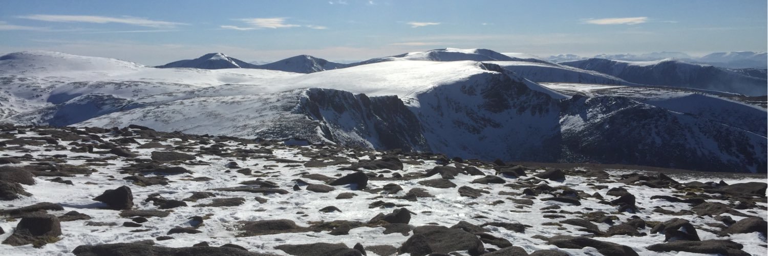 Dan Grandfield banner