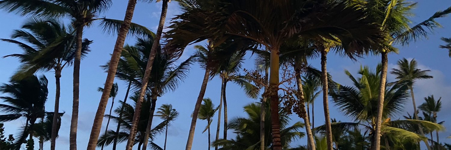 Ignaciogarcia95's profile banner image